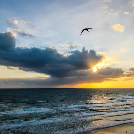 Harbour Beach Resort Daytona Beach Room photo