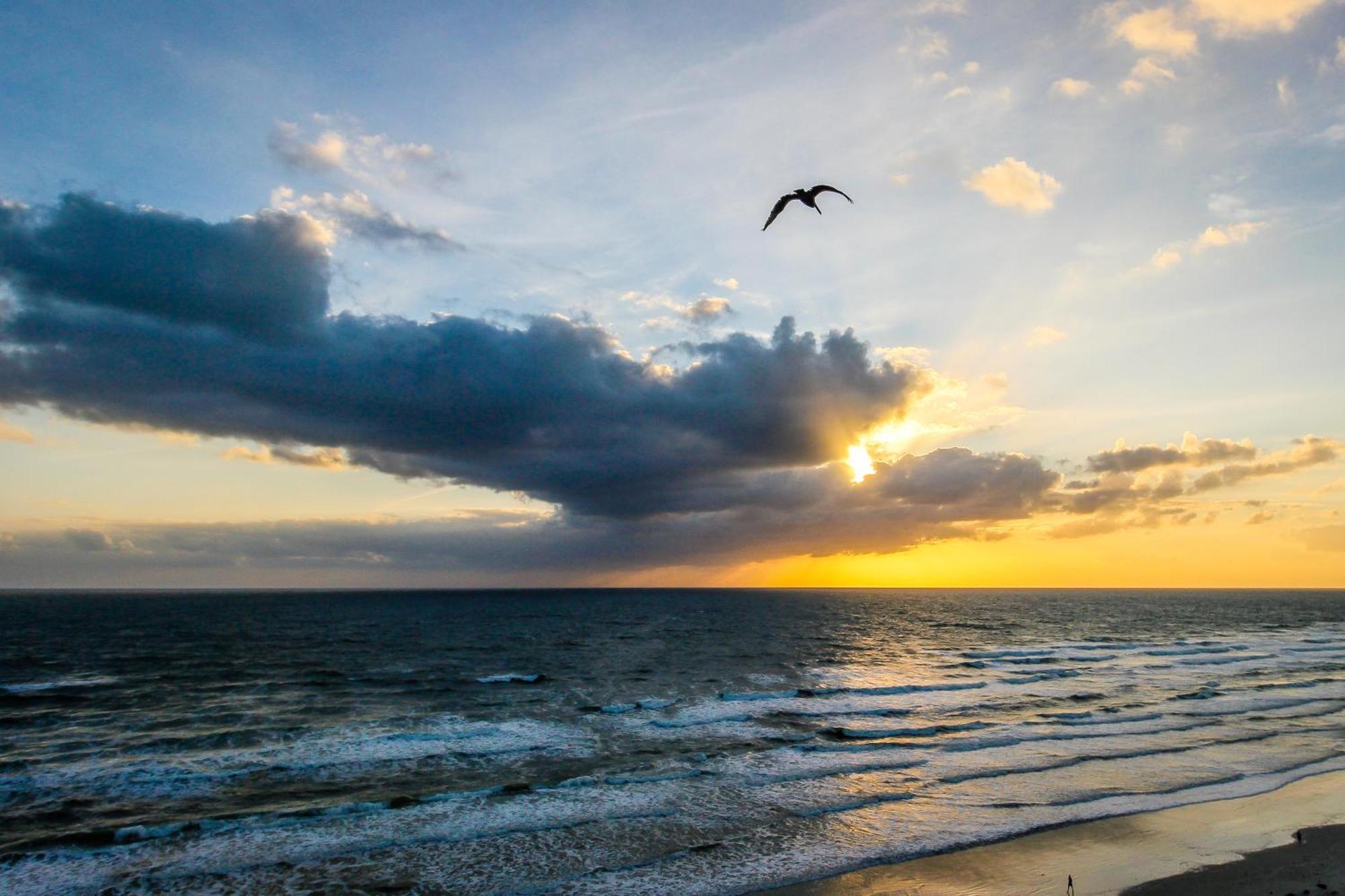 Harbour Daytona Beach